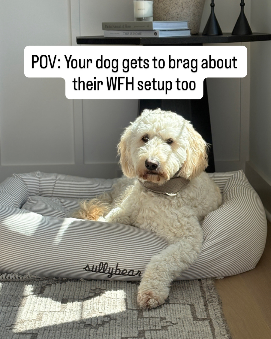 The Foggy Dog Facebook ad