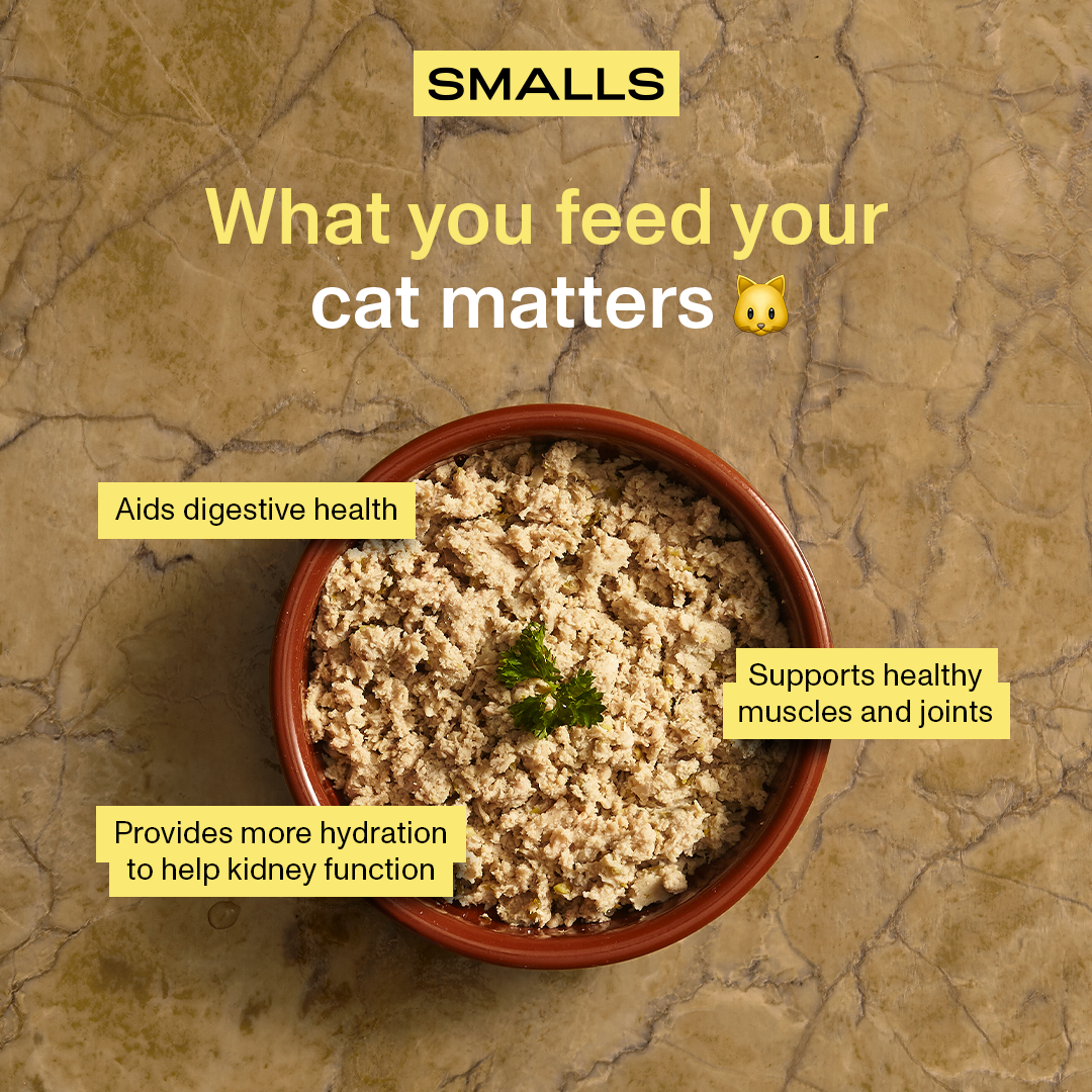 Smalls Facebook ad
