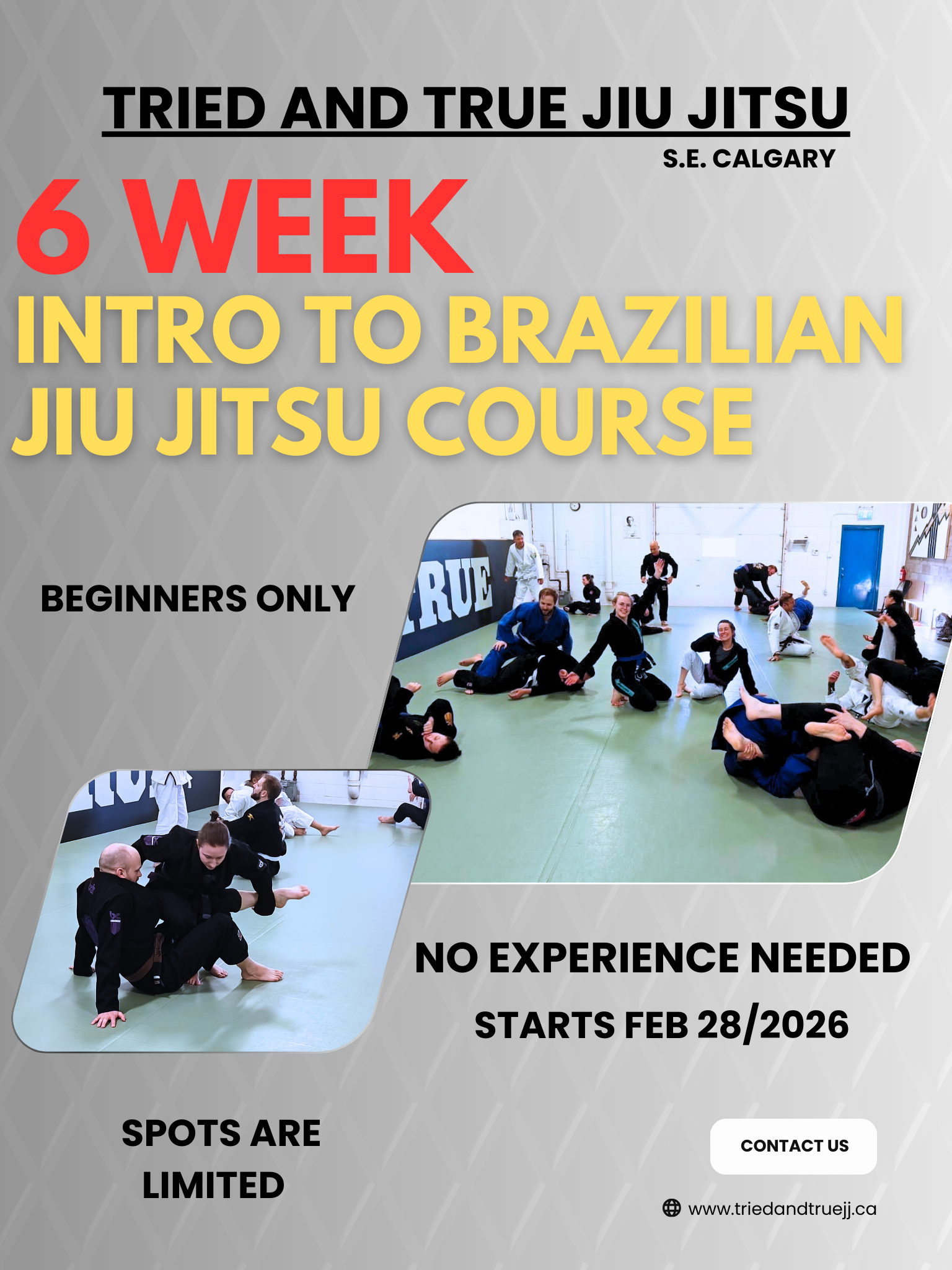 Tried & True Jiu Jitsu Facebook ad: 6-Week Beginner Brazilian Jiu-Jitsu Course