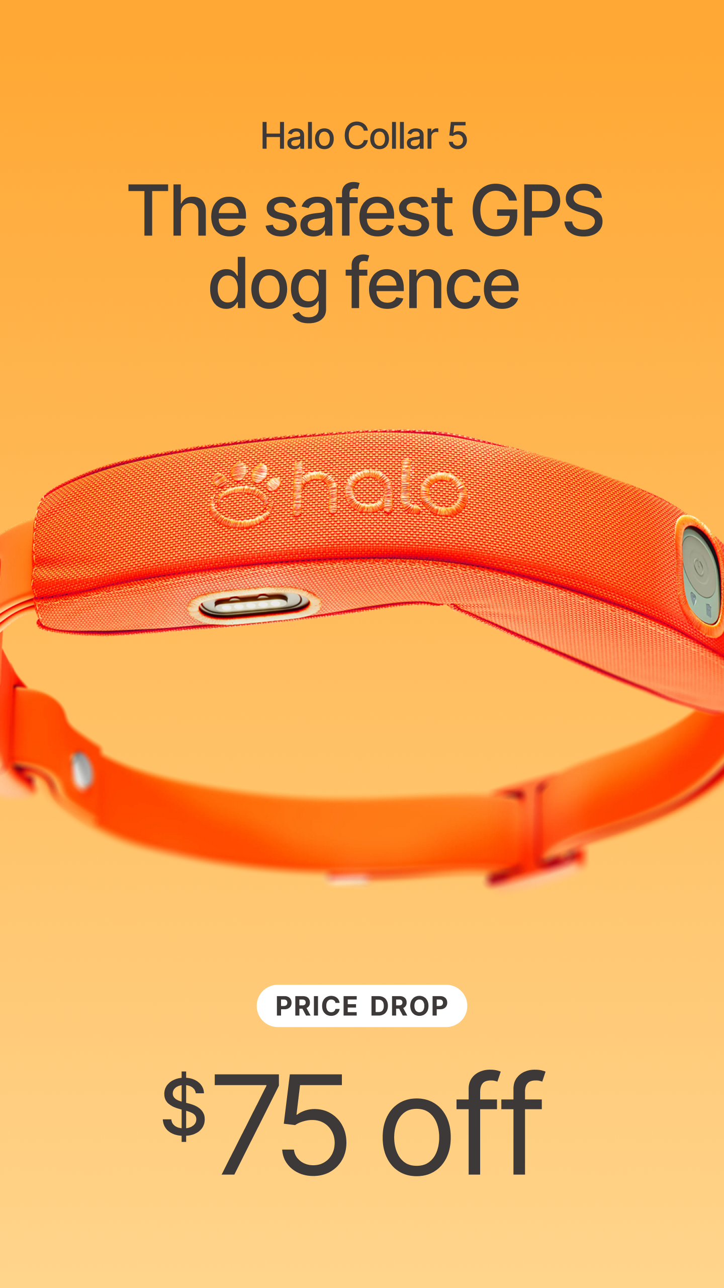 Halo Collar Facebook ad