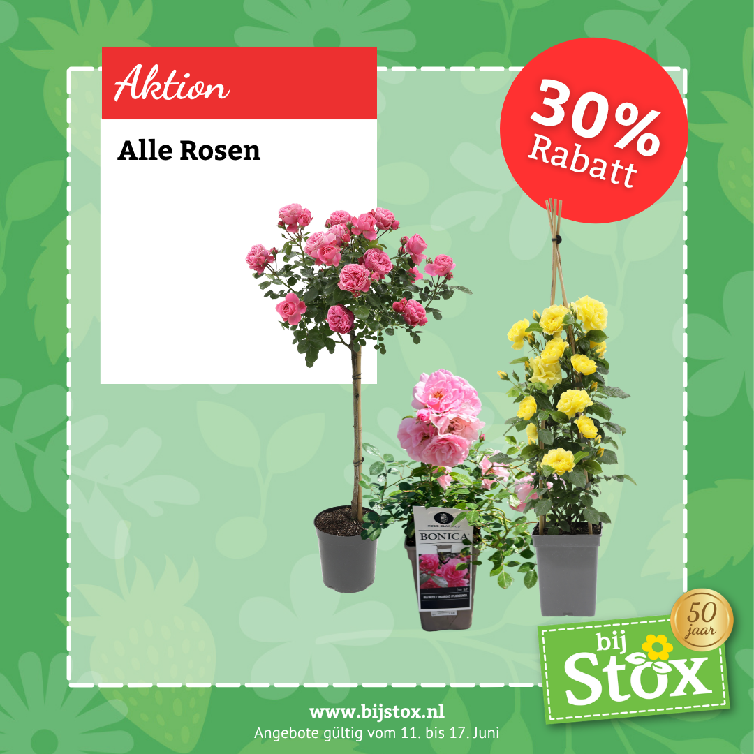 Tuincentrum BijStox Facebook ad