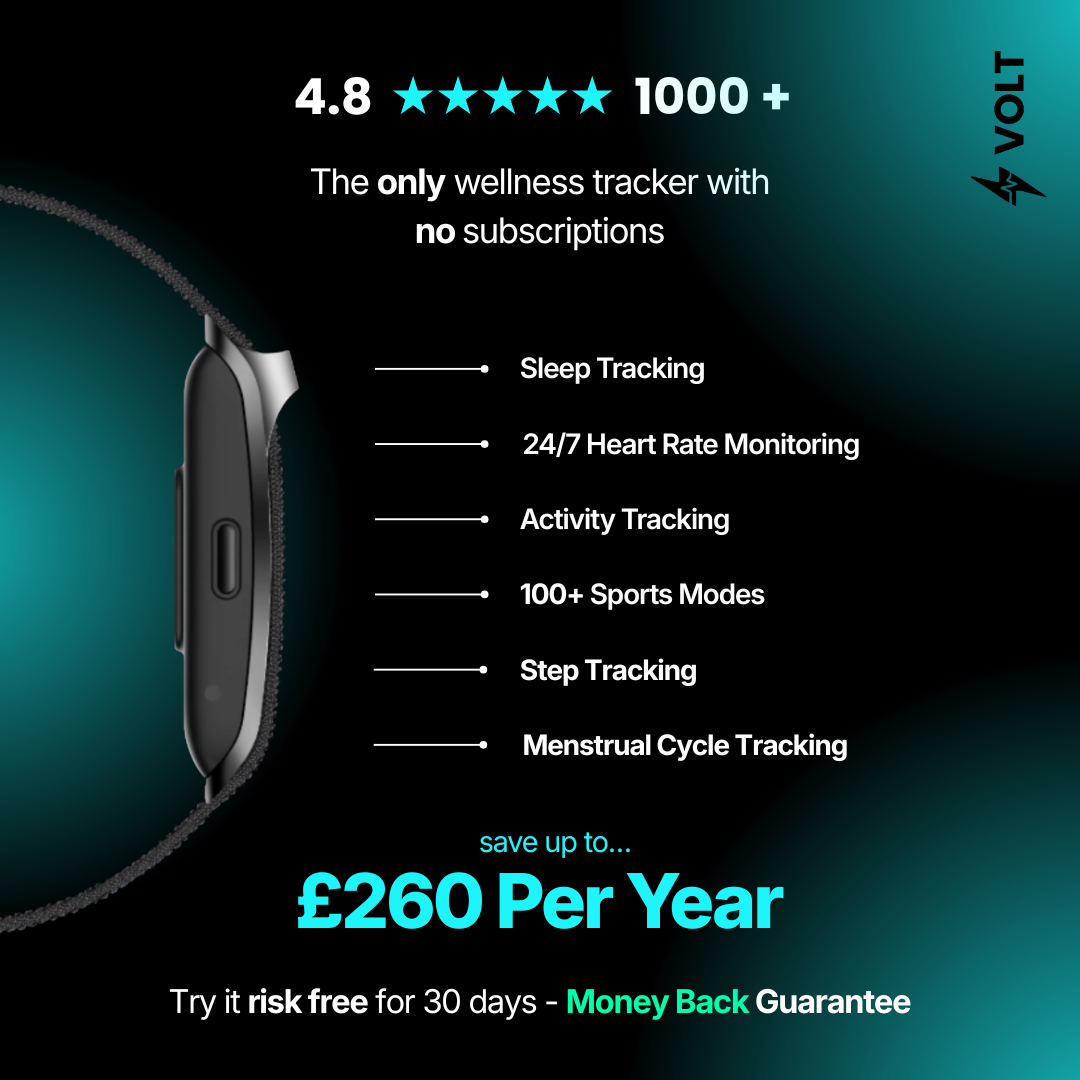 Volt UK Facebook ad