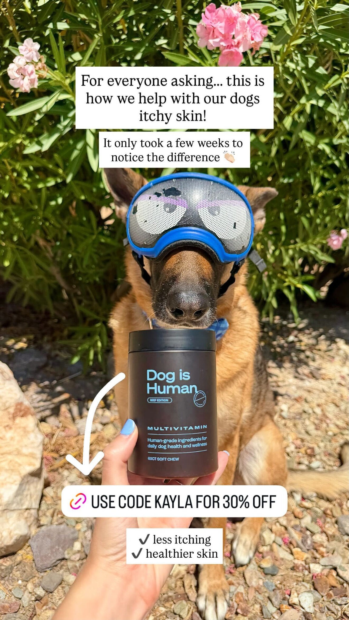 Dog is Human Facebook ad