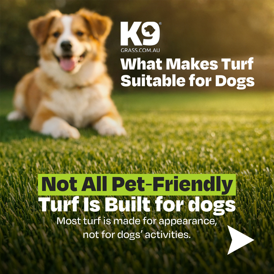K9Grass by Premier Grass Facebook ad: Dogs don’t just walk on turf they dig…