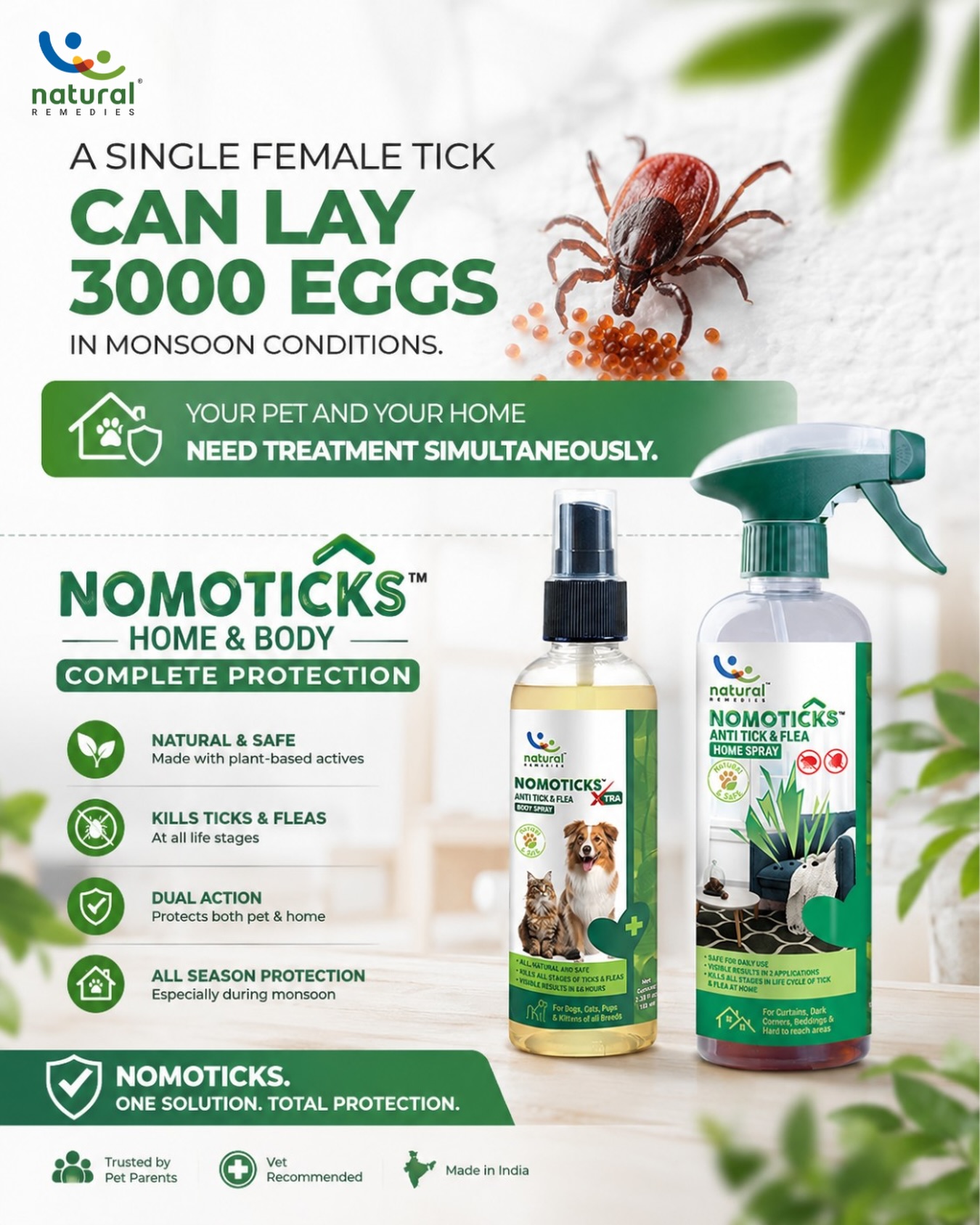 Pet Natural Remedies Facebook ad