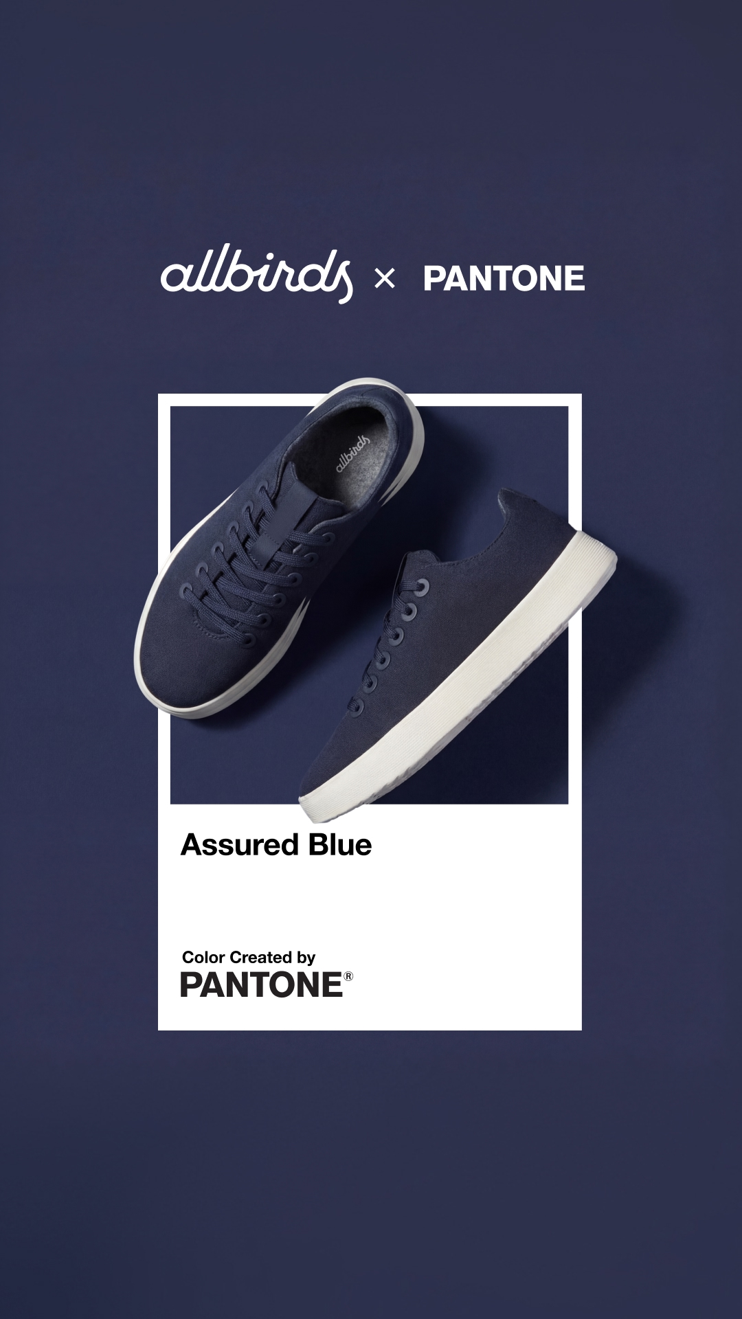 Allbirds Facebook ad