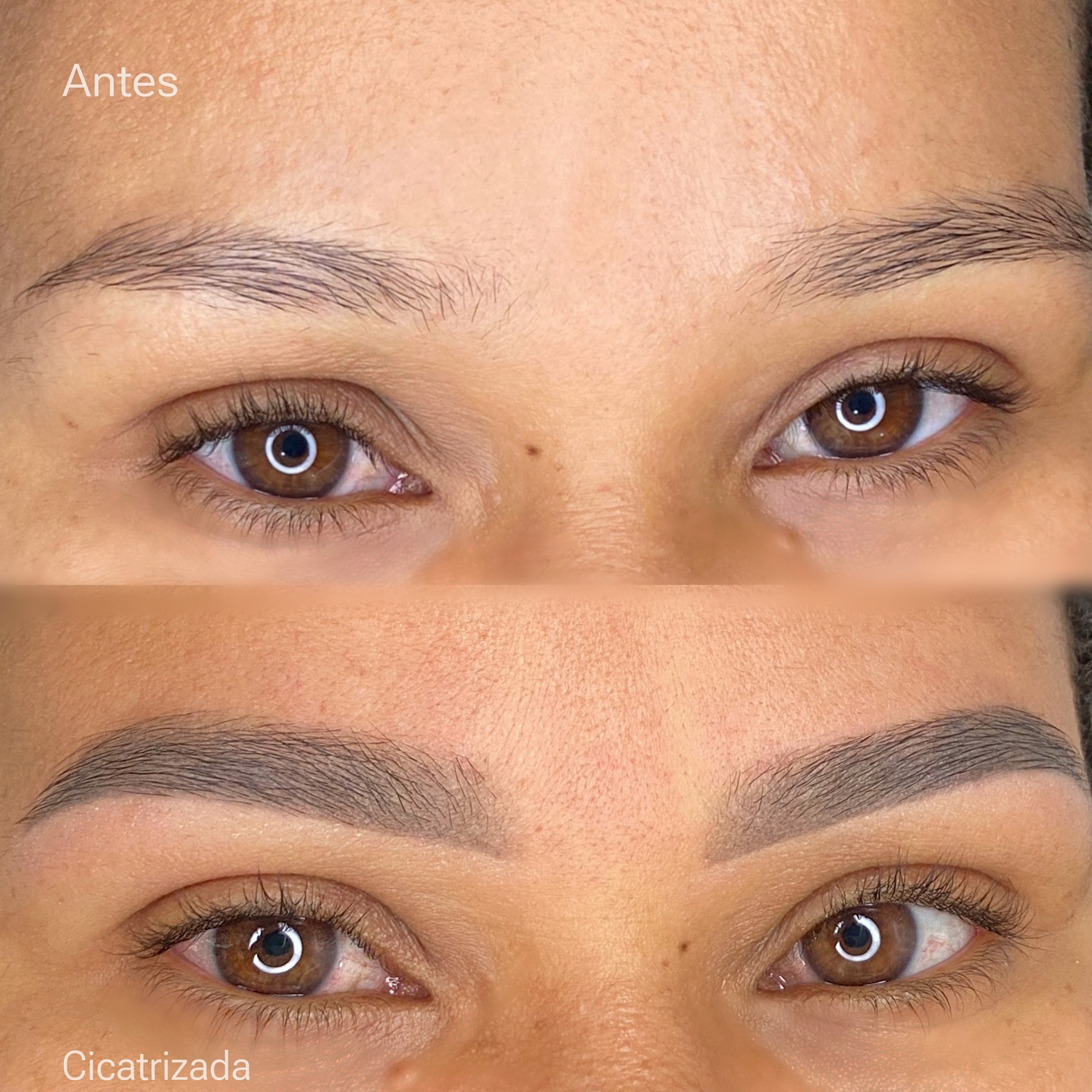 ionaraazevedostudio Facebook ad: Olha que resultado lindo dessa Micropigmentação Cicatrizada!