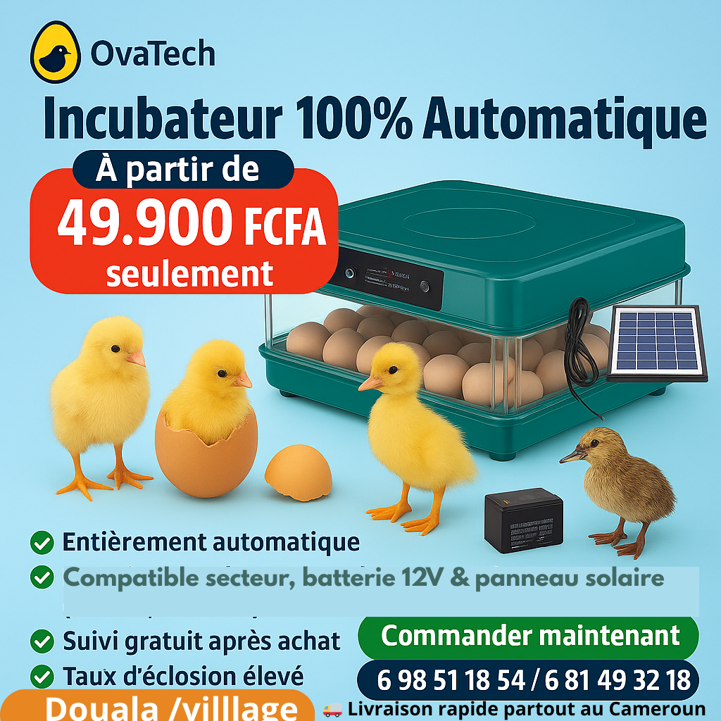 Ovatech Facebook ad