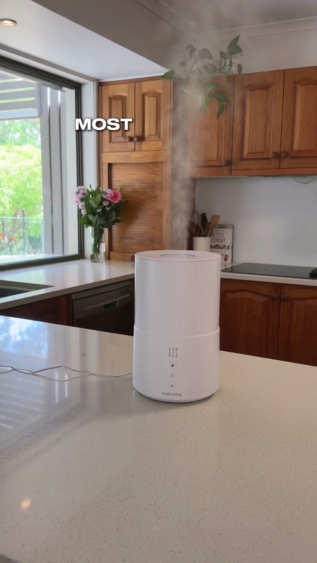 Lively Living Facebook ad from Jul 22, 2026