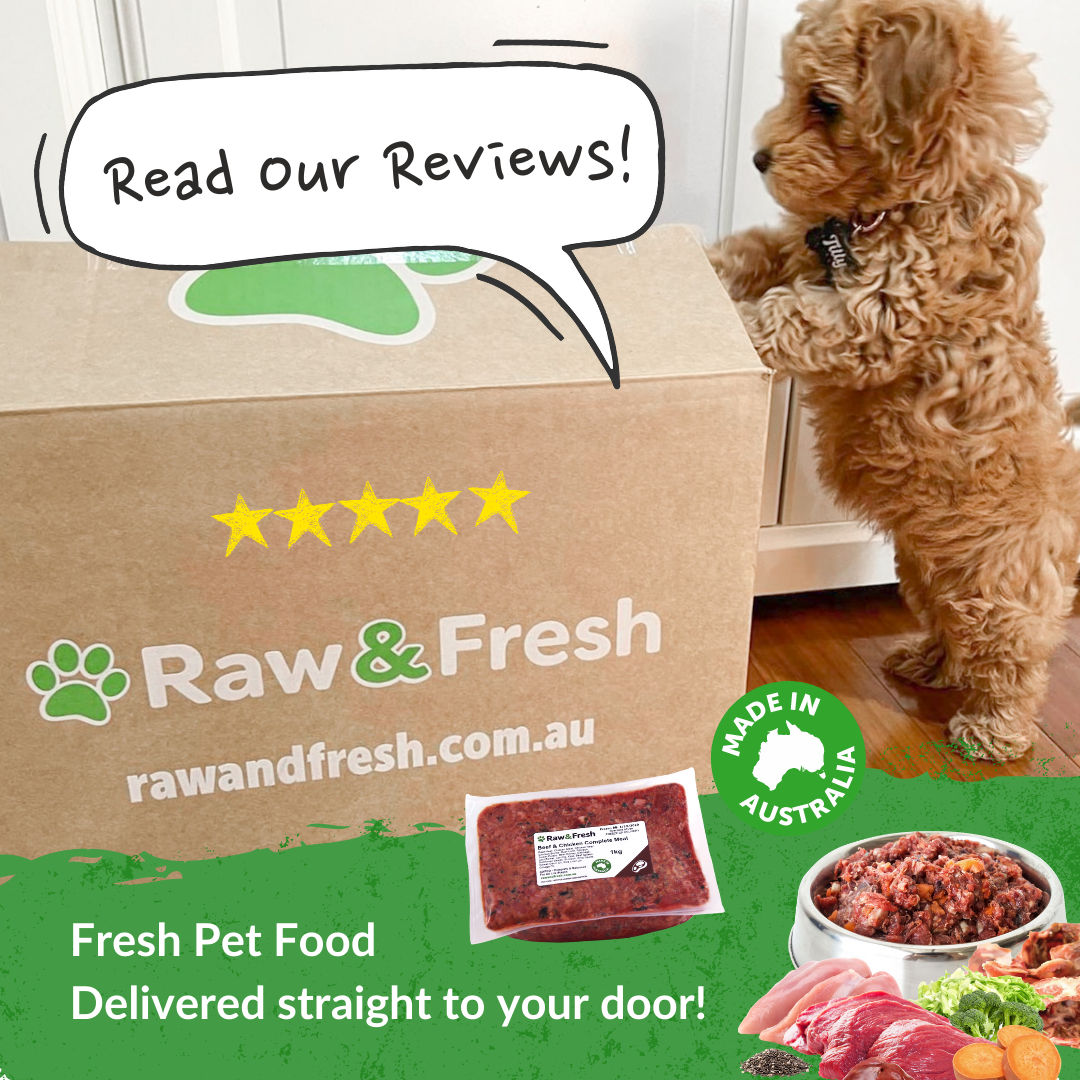 Raw & Fresh Pet Food Facebook ad: Australia's Most-Loved Fresh Pet Food Delivery