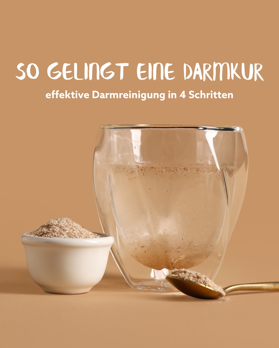 Wild Baboon Facebook ad: Warum scheitern so viele an einer Darmkur?