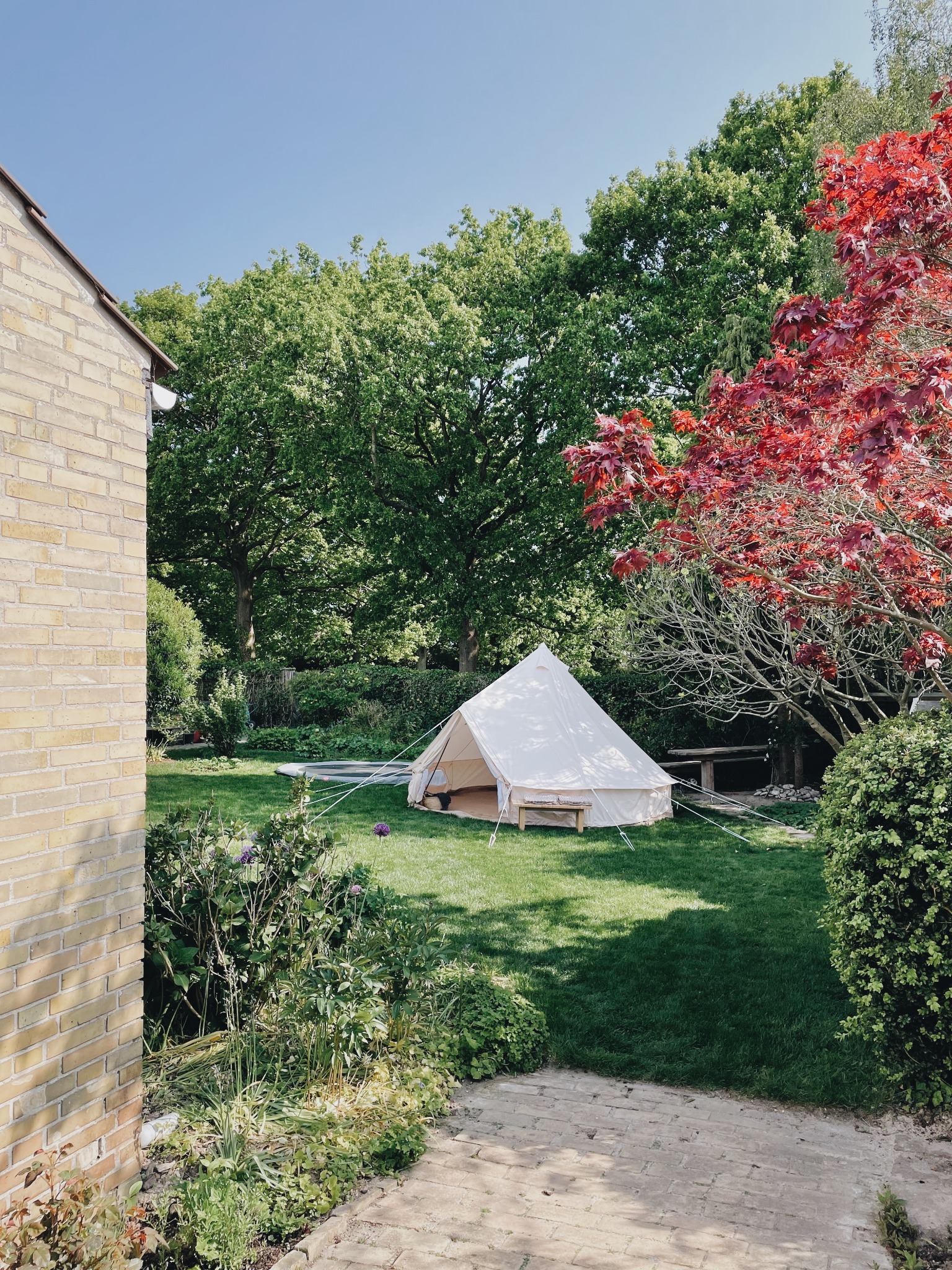Amaroq Glamping Facebook ad: Beställ idag så har du tältet inom 2-4…