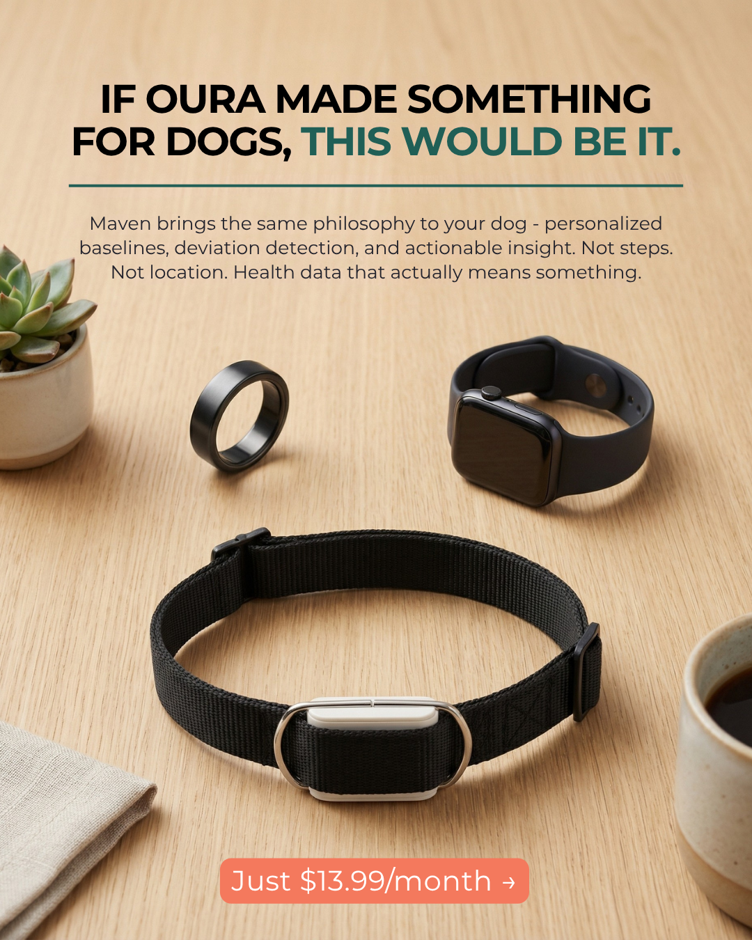 Maven Pet Facebook ad