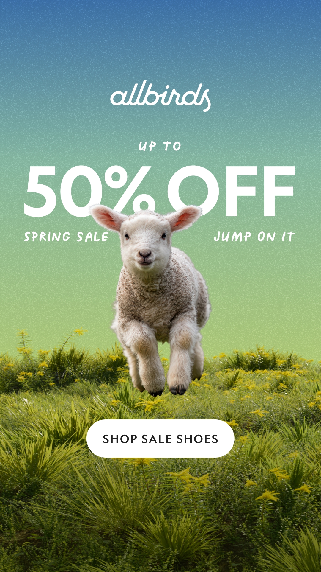 Allbirds Facebook ad
