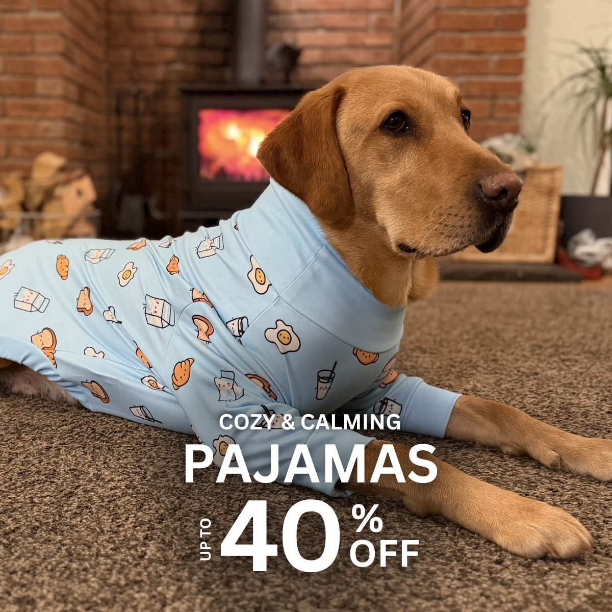 Spark Paws Facebook ad