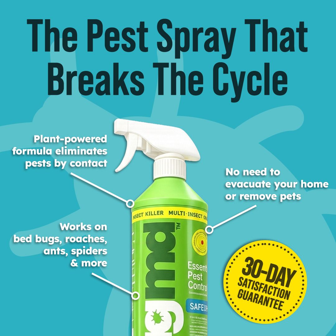 Essential Pest Control Facebook ad