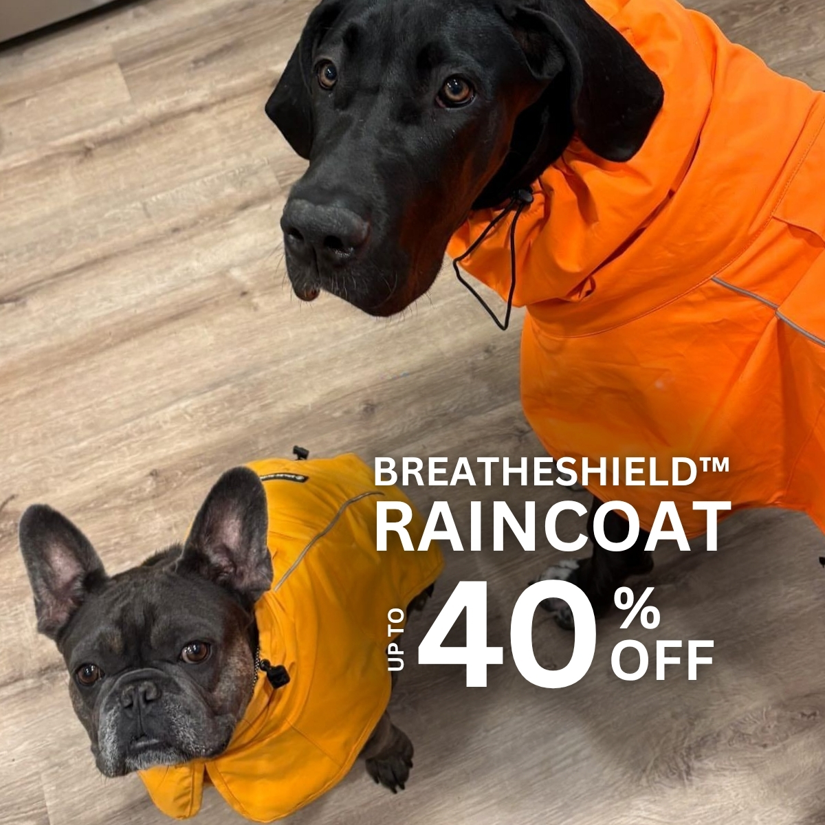 Spark Paws Facebook ad