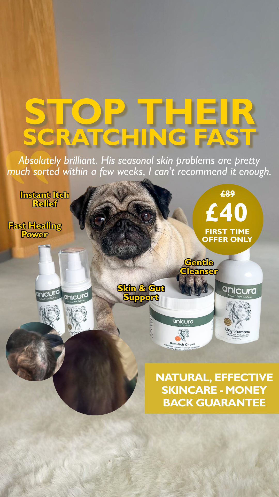 Anicura Natural Pet Solutions Facebook ad
