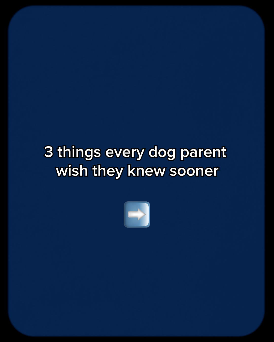 Dog Wellness Dispatch Facebook ad