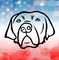 Kona Dog Wear