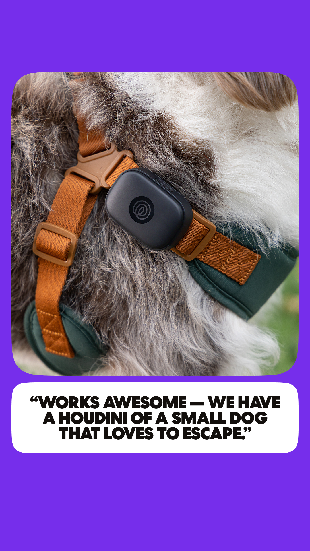Life360 Facebook ad