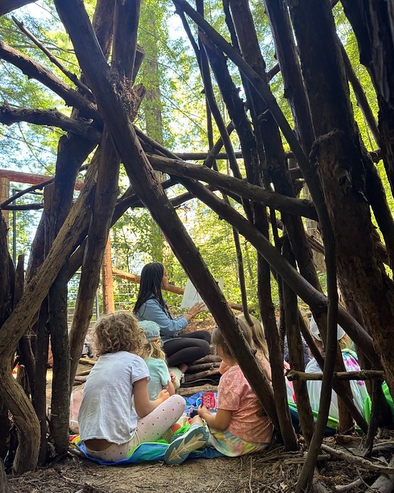 Santa Cruz Waldorf School Facebook ad: Redwood Summer Camp