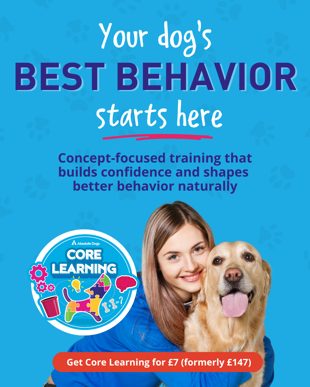 absoluteDOGS Facebook ad