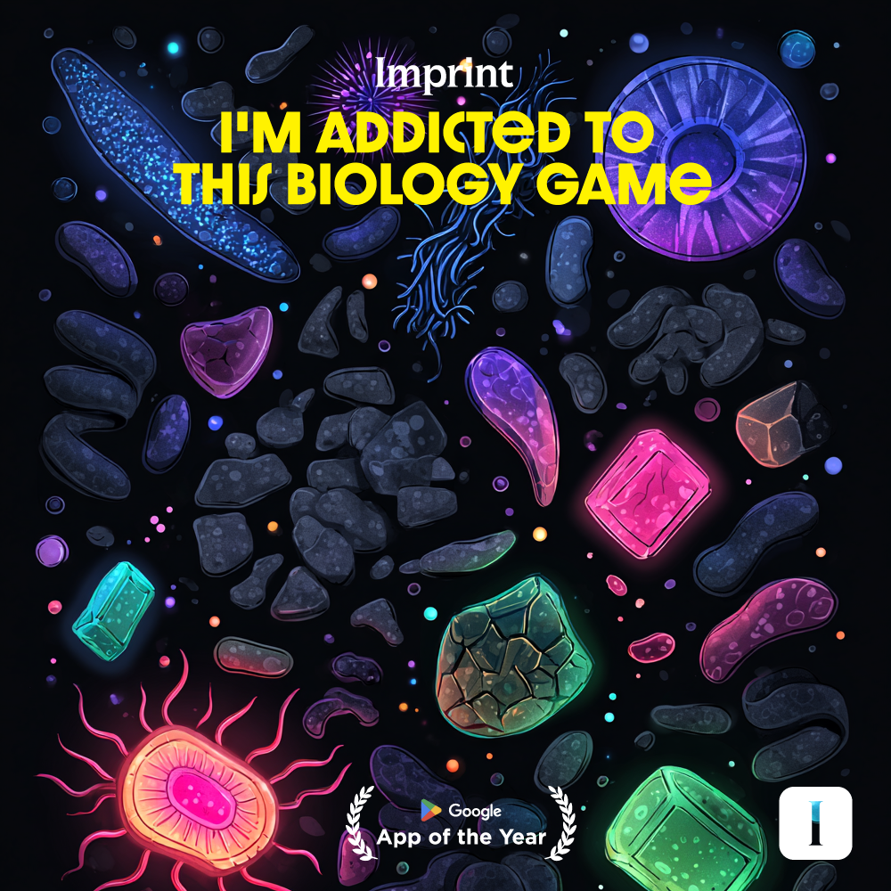 Imprint: Learn Visually Facebook ad
