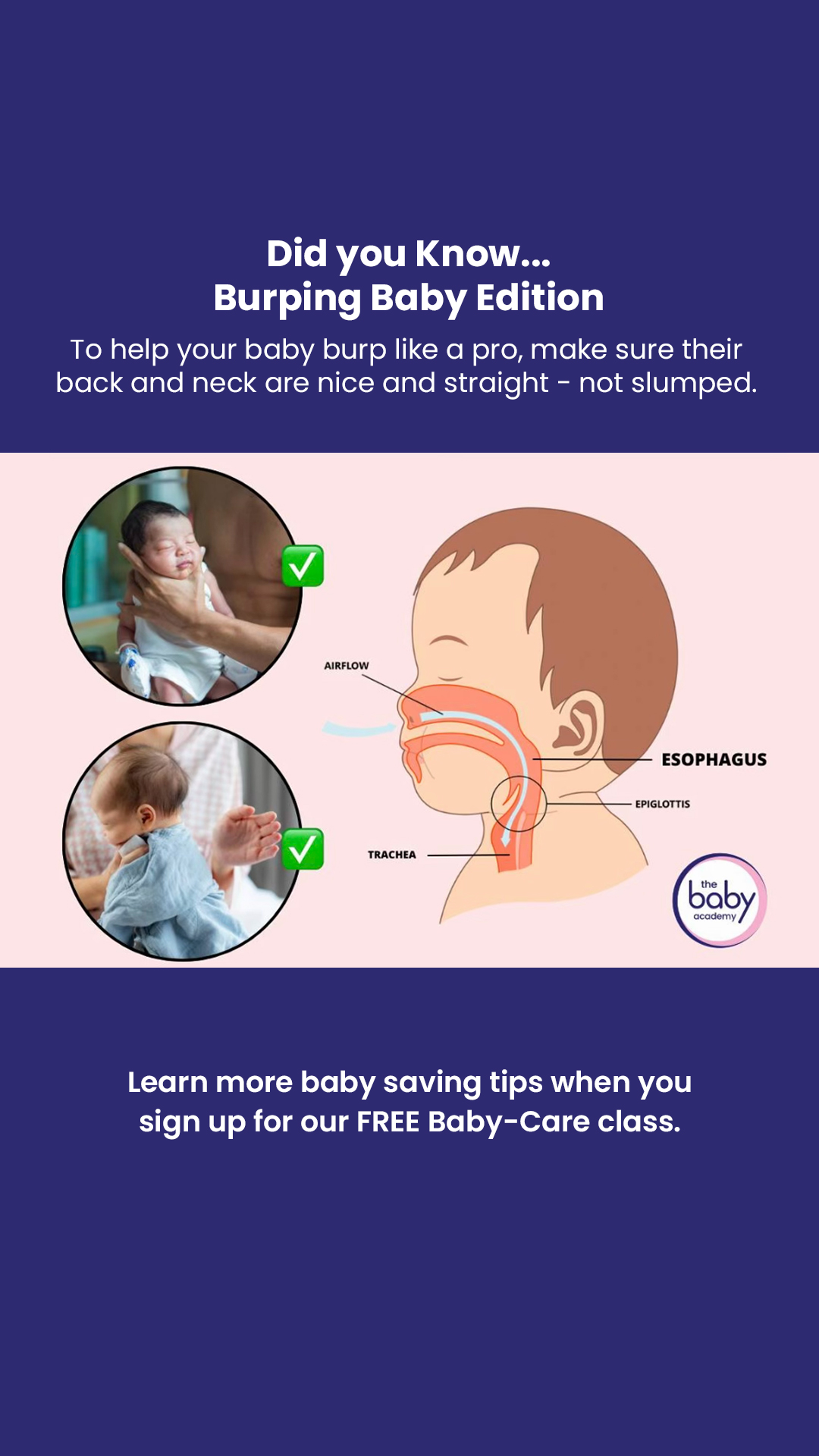 The Baby Academy US Facebook ad