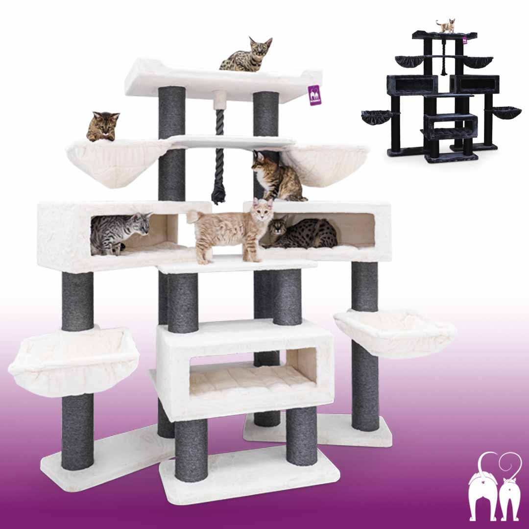 petrebels.com Facebook ad
