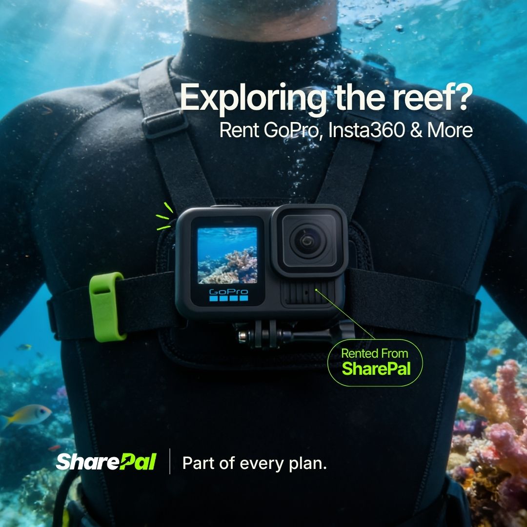 SharePal.in Facebook ad: Exploring the Reef? Rent GoPro & Insta360!