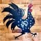 Funky Rooster Coffee House & Wine Bar