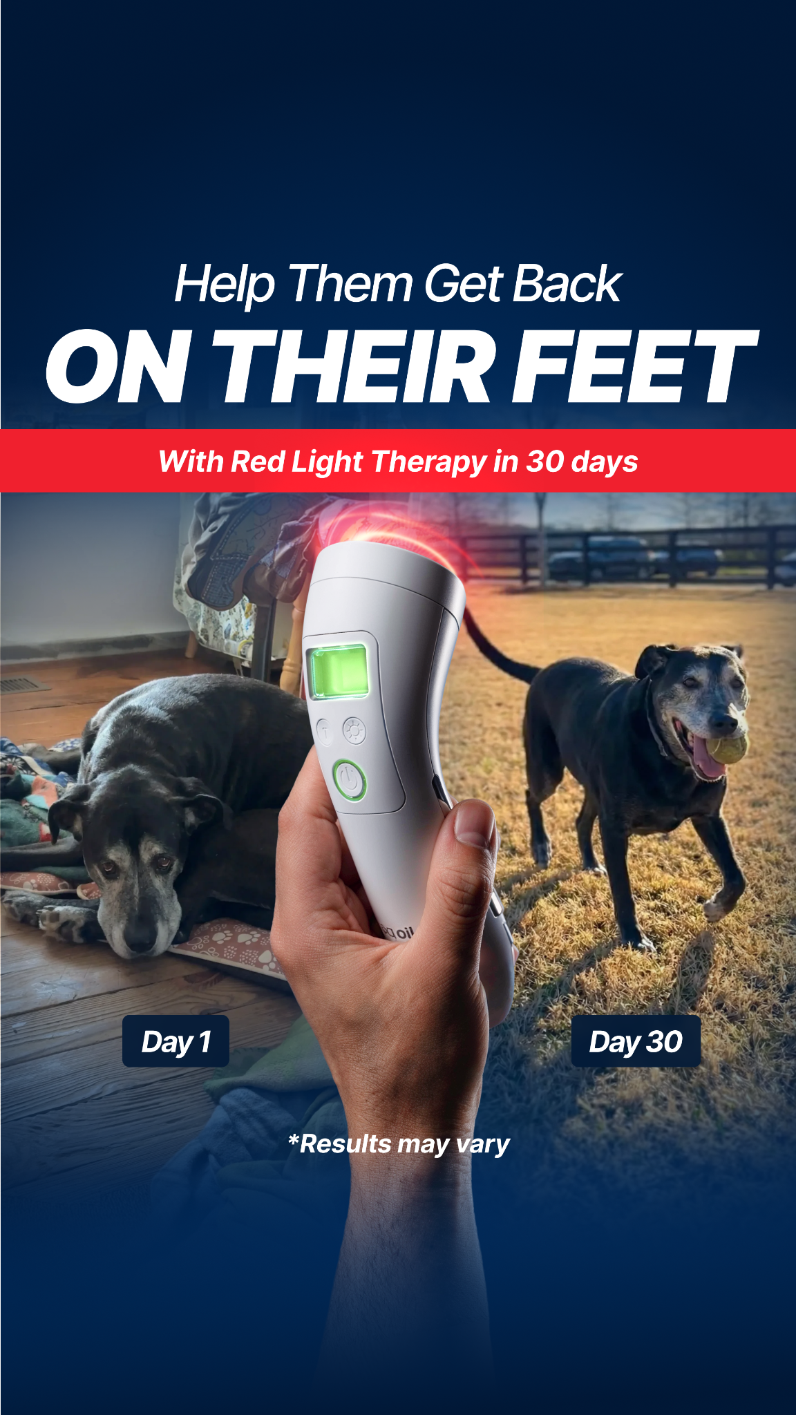 Helio Pet Facebook ad