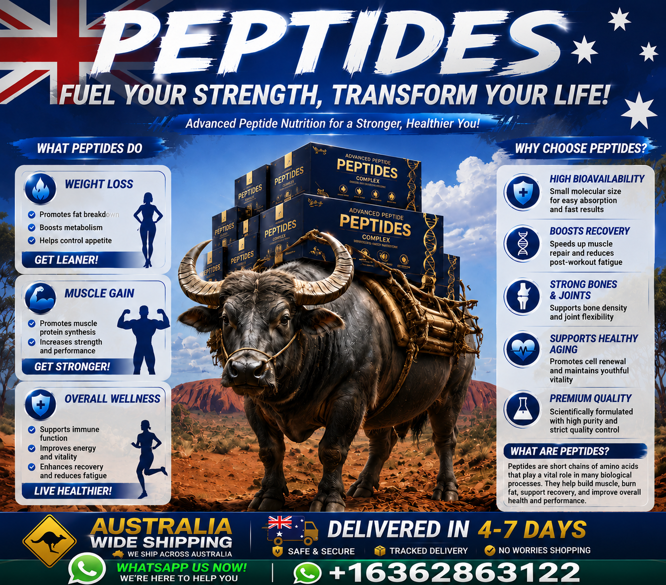 Peptide Factory Direct- AL3 Facebook ad from Jul 9, 2026