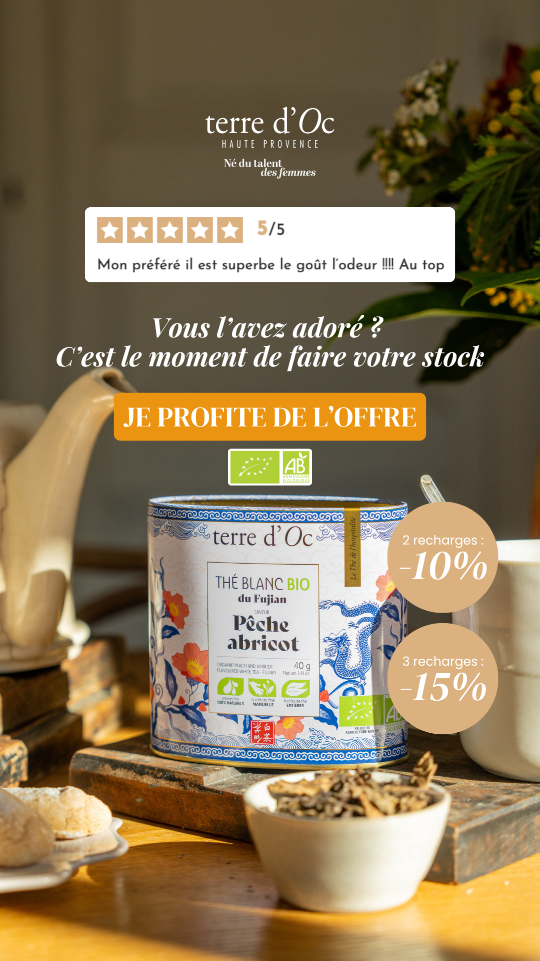 terre d'Oc Facebook ad