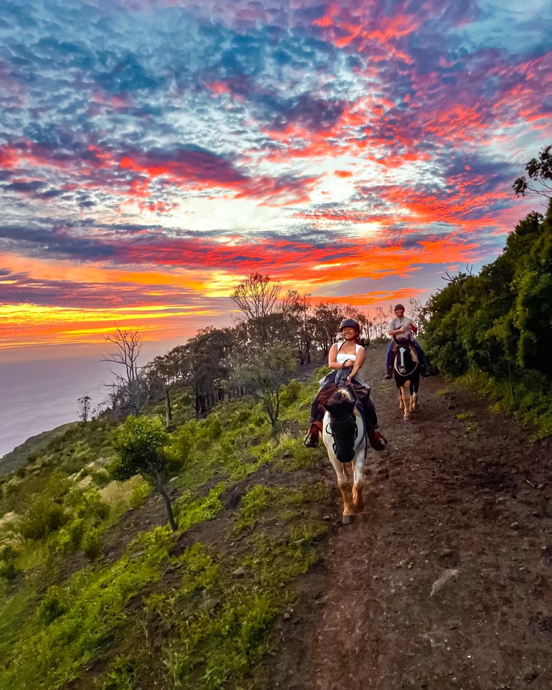 Pālehua Trail Rides Facebook ad: Pālehua Trail Rides | Horseback Rides in Kapolei, Hawaii…
