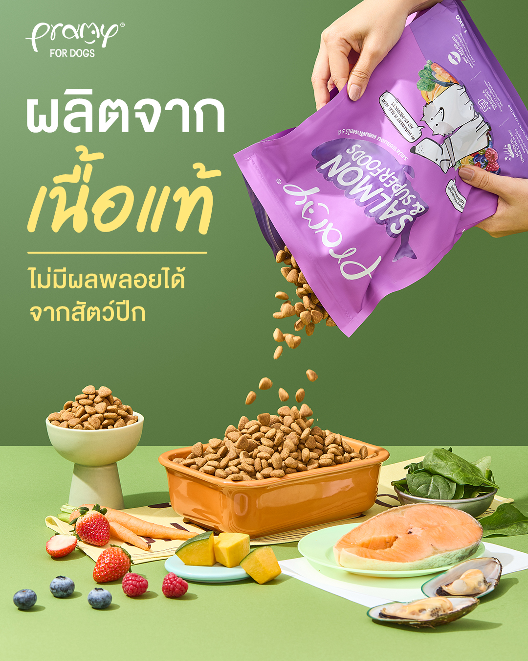 PRAMY PRAMA อาหารสุนัขพรามี่ พราม่า Facebook ad