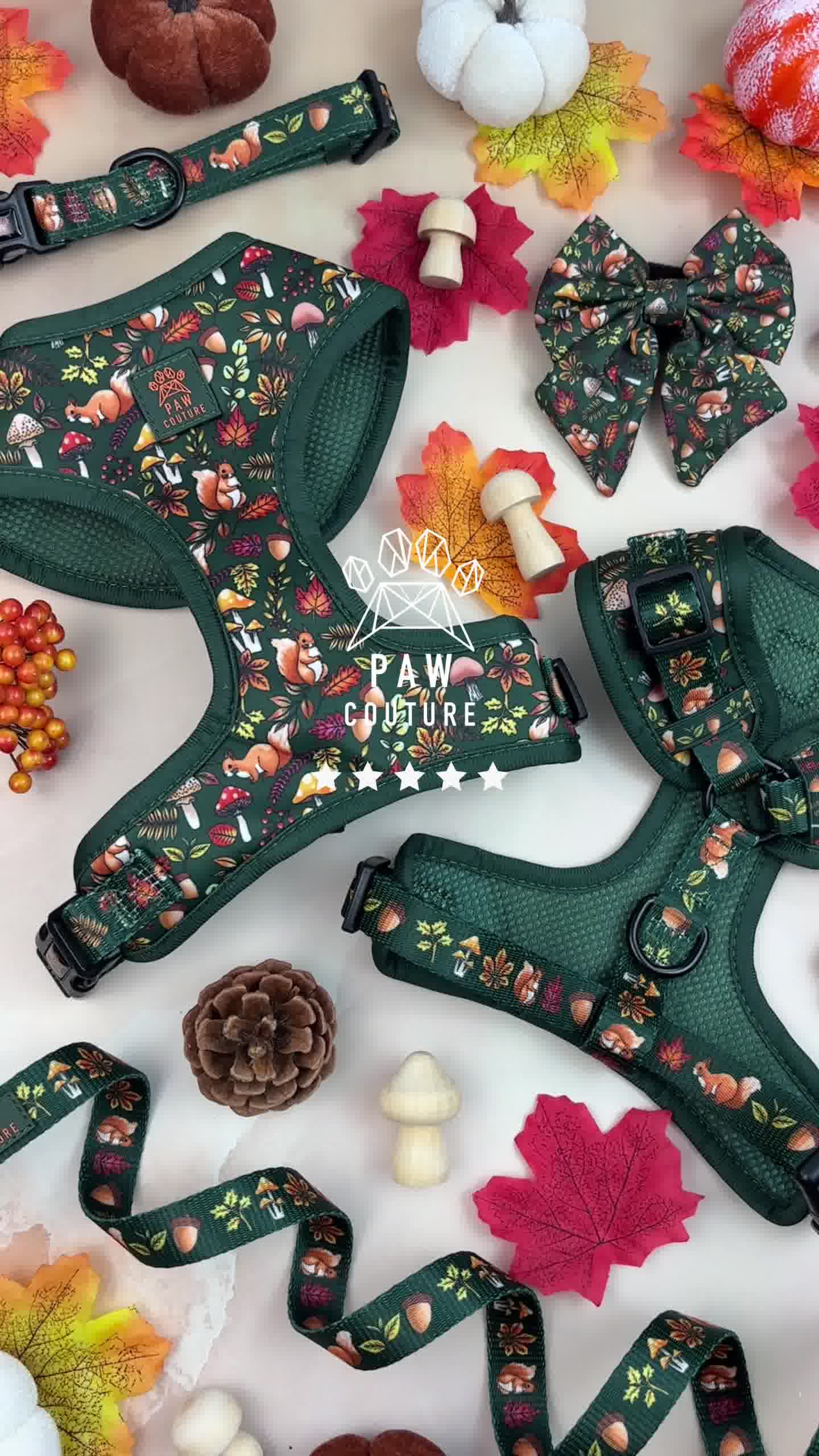 Paw Couture Facebook ad: Luxury Dog Accessories at Affordable Prices