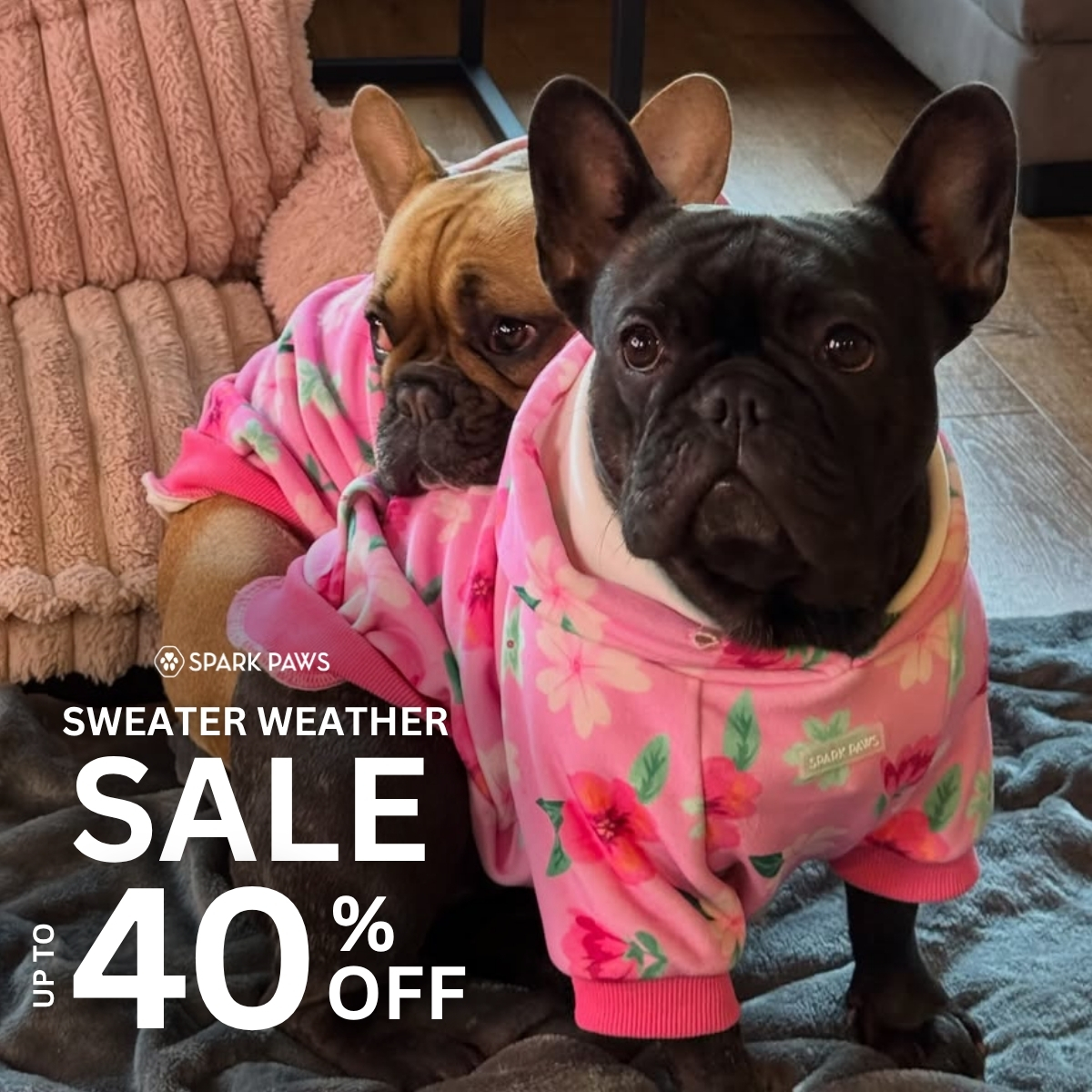 Spark Paws Facebook ad
