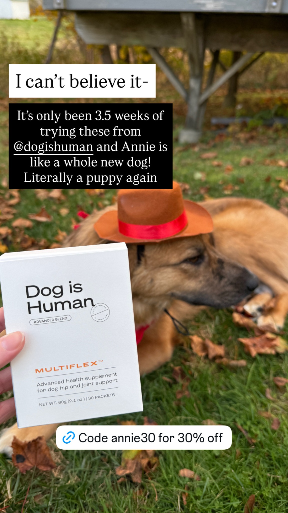 Dog is Human Facebook ad