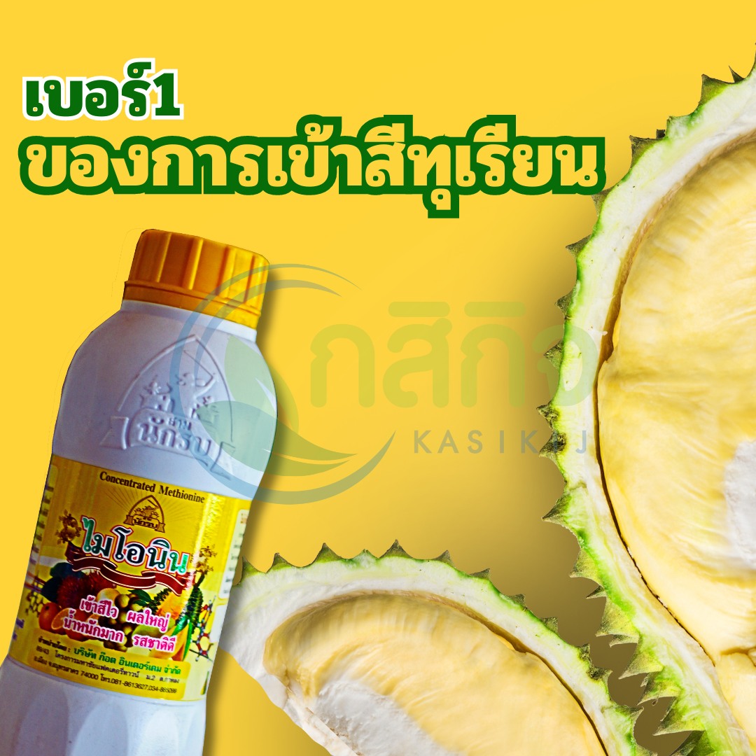 กสิกิจ Facebook ad: เบอร์ 1 ของการเข้าสีของทุเรียน
