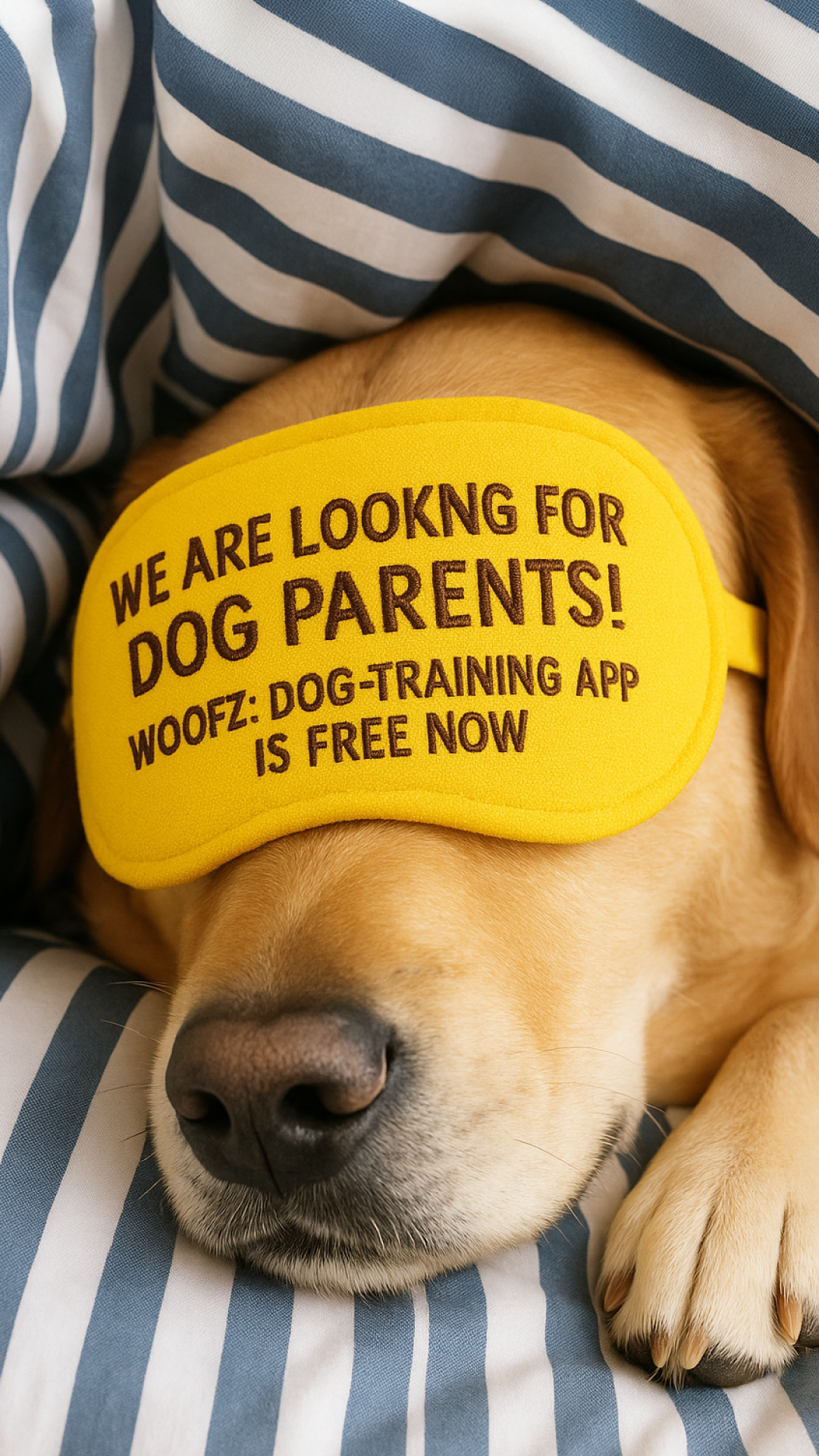 Dog Training Camp Facebook ad