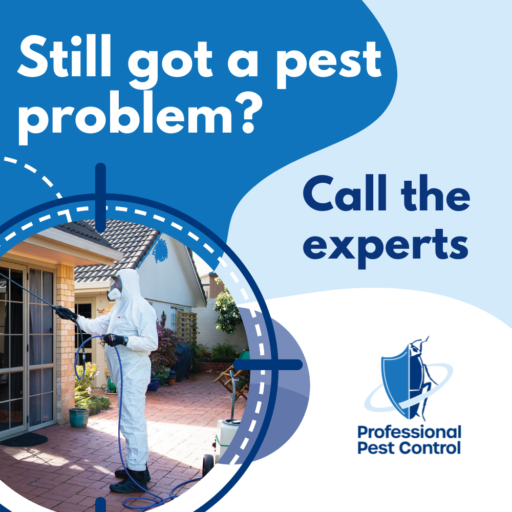 Professional Pest Control - Auckland Facebook ad: Still got a pest problem?