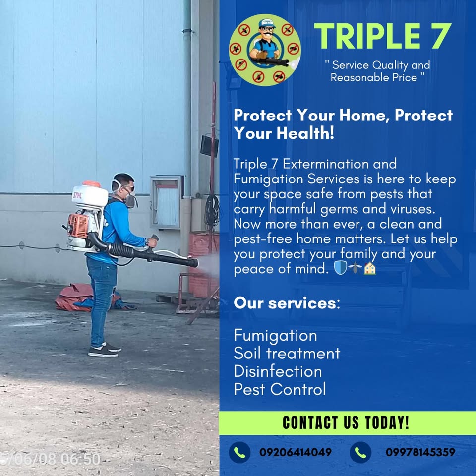 Triple 7 Extermination and Fumigation Services Facebook ad: TRIPLE 7 Extermination and Fumigation Services (PEST…
