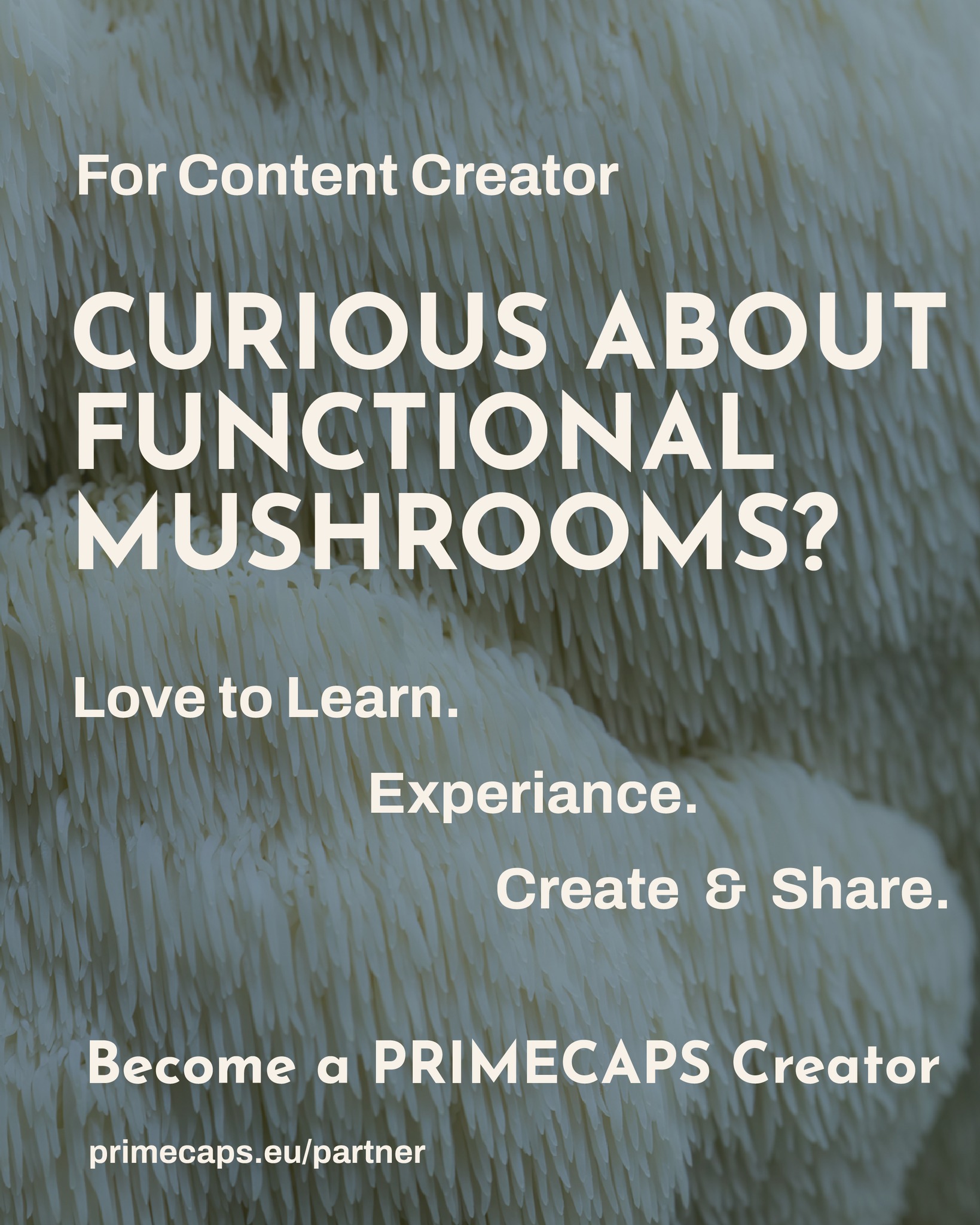 PRIMECAPS Facebook ad