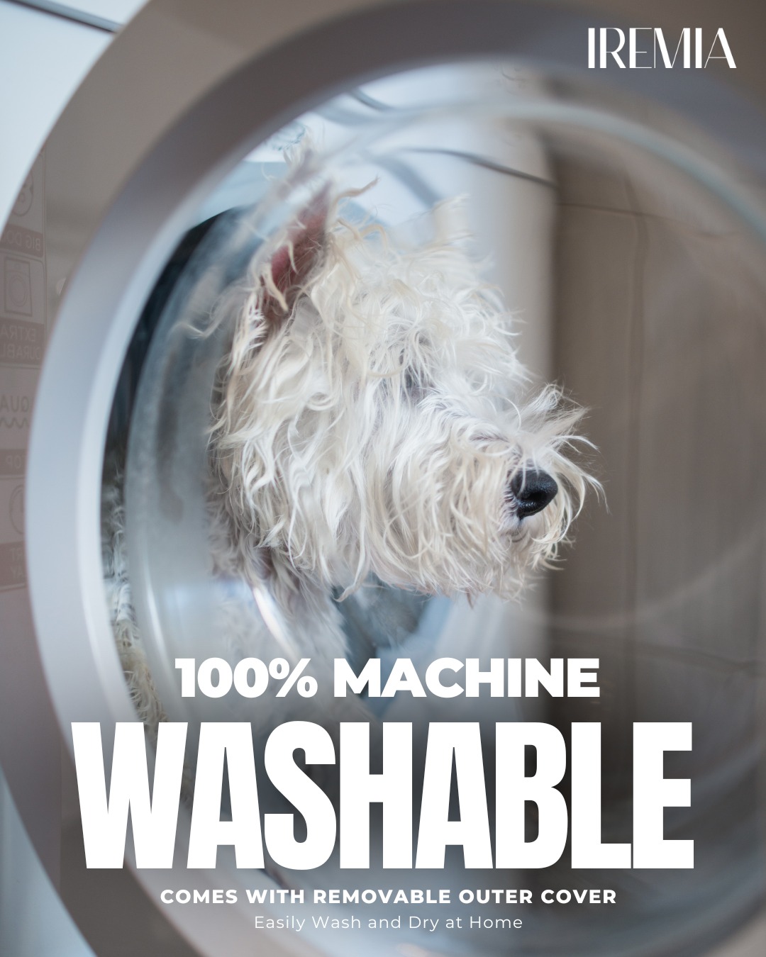 PetsPlanet Facebook ad
