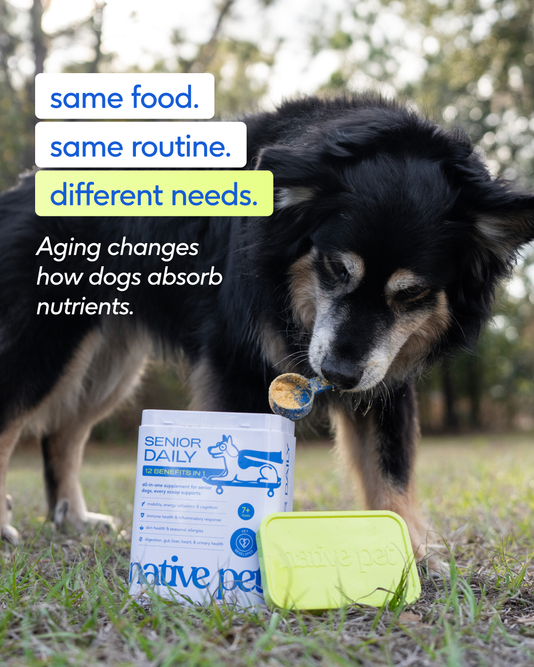 Native Pet Facebook ad