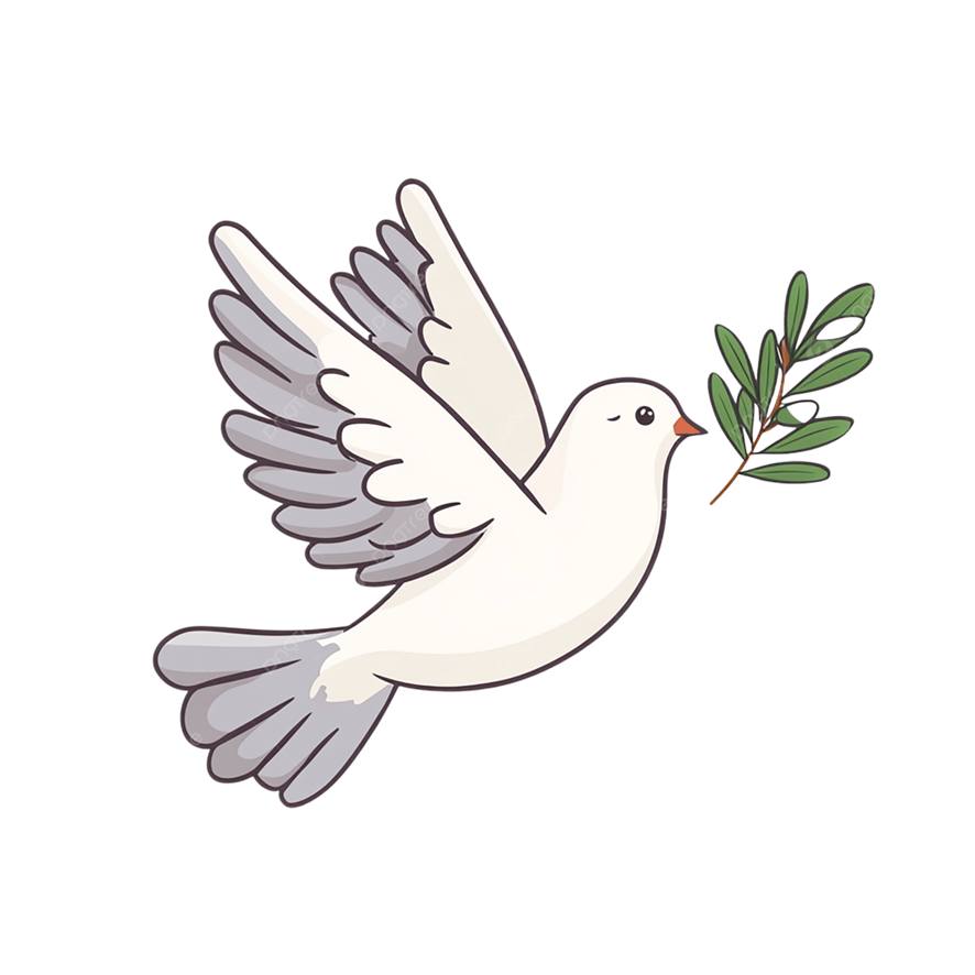 Rony Pedro Colanzi Zeballos Facebook ad: BOLIVIA CON MENSAJE DE PAZ