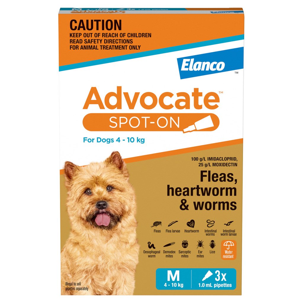 Budget Pet Products Facebook ad