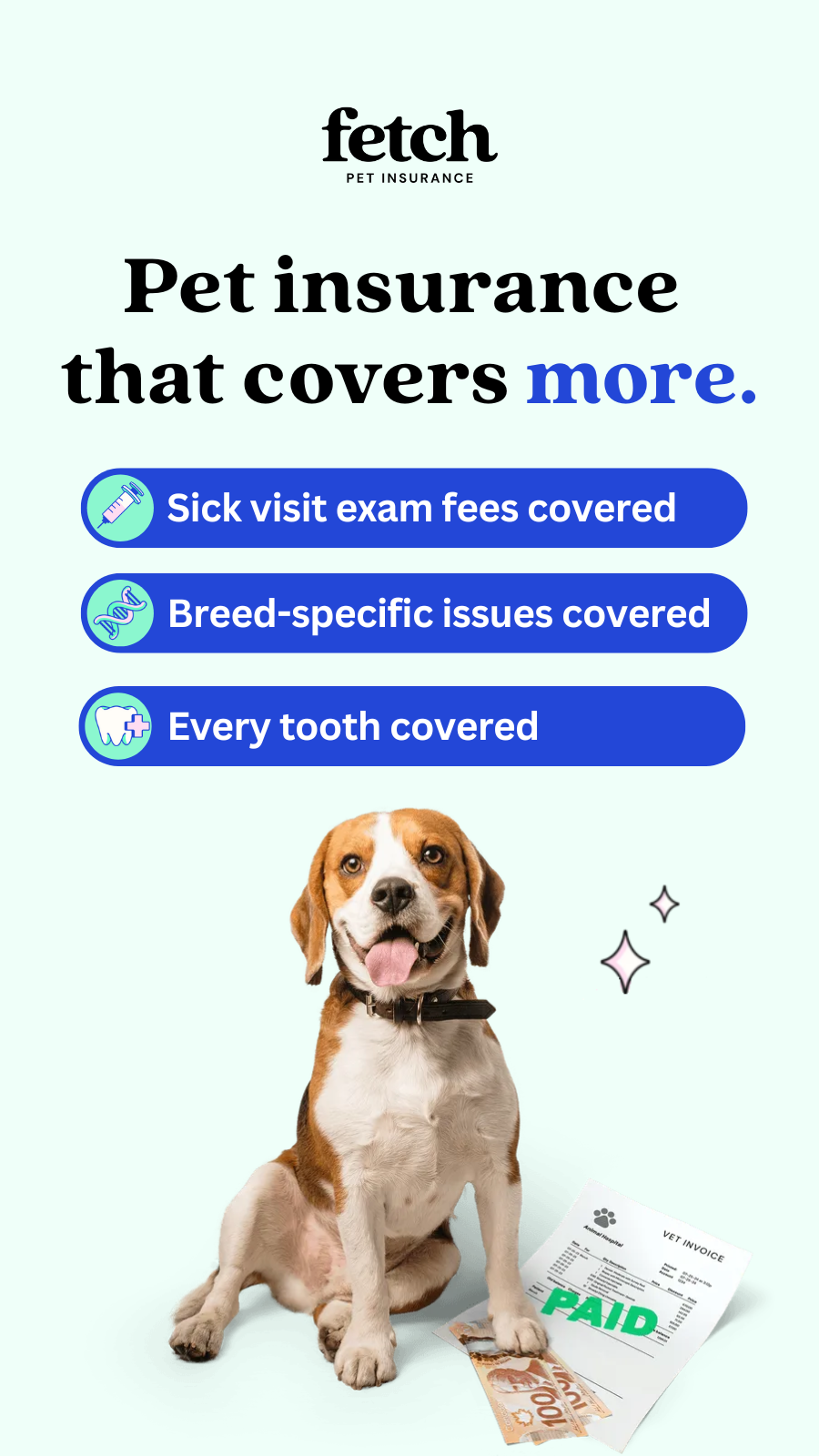 Fetch Pet Insurance Facebook ad